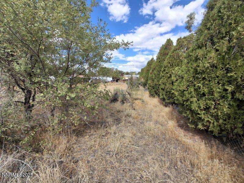 17845 Owl Court Reno, NV 89508 - Photo 5 of 14 a view of a yard with plants and trees