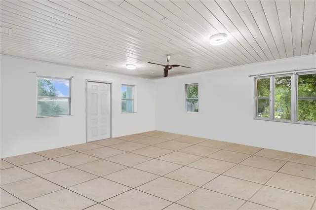 a view of a yard with plants and trees