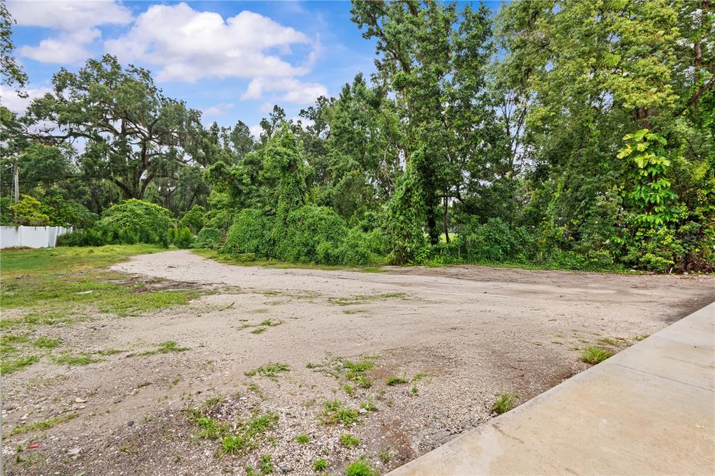 13002 East Wheeler Road Dover, FL 33527 - Photo 17 of 22 a view of a yard with plants and trees