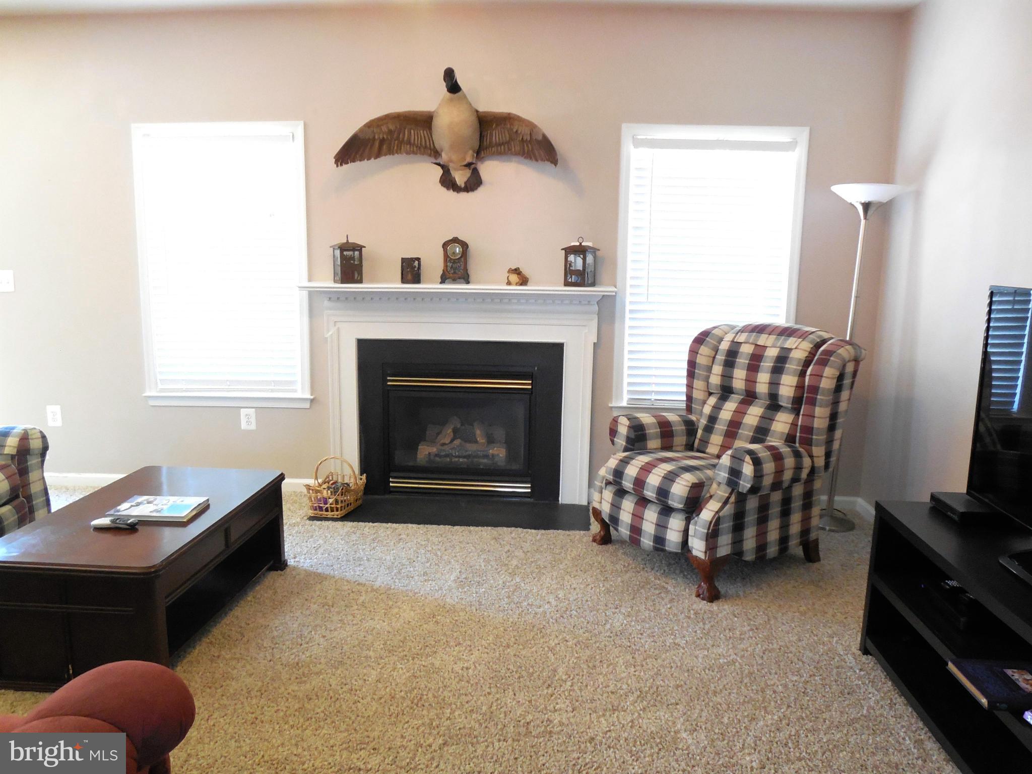 16 Cavalry Ridge Road Fredericksburg, VA 22405 - Photo 12 of 29 Living Room