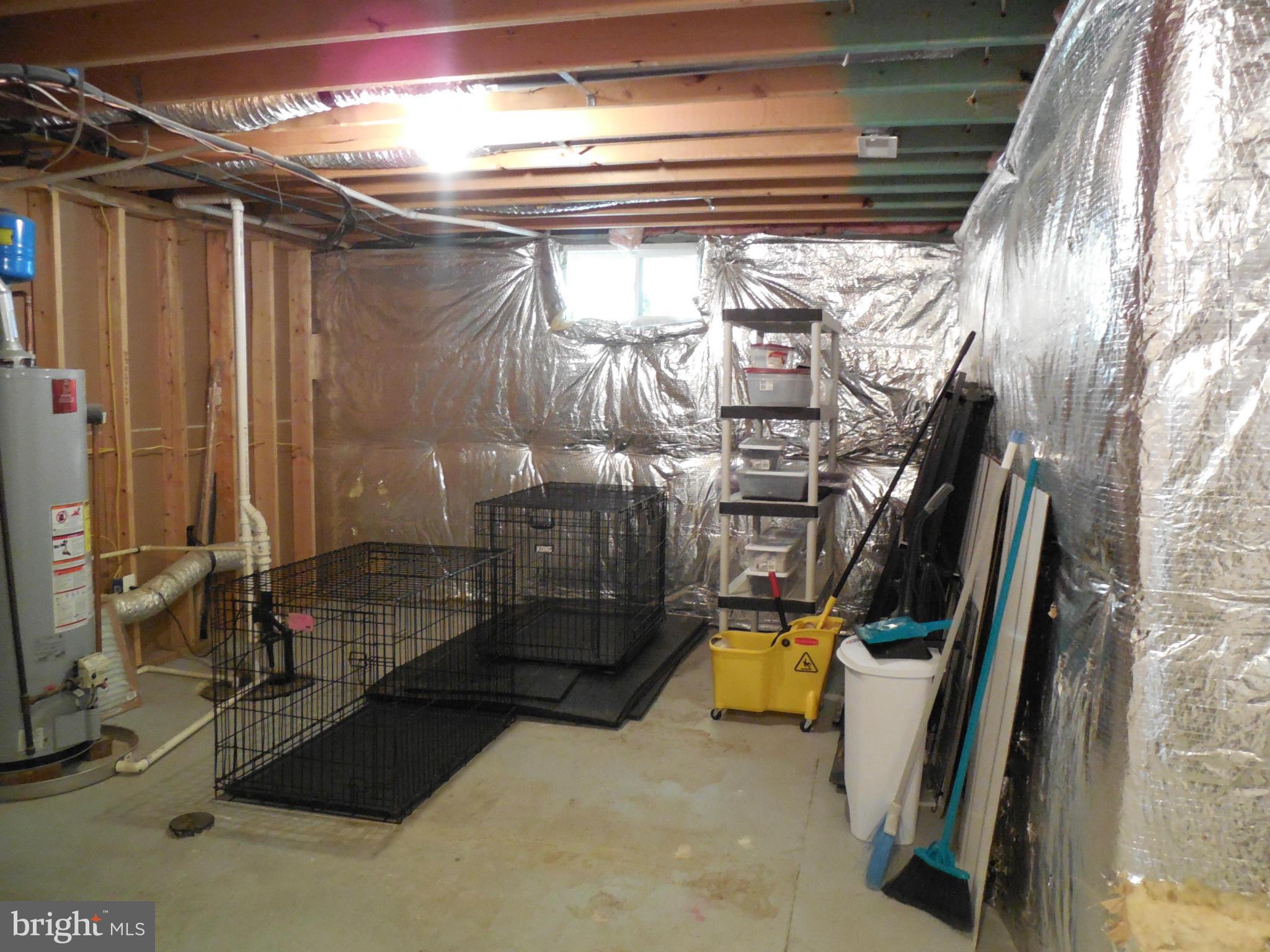 16 Cavalry Ridge Road Fredericksburg, VA 22405 - Photo 20 of 29 Basement