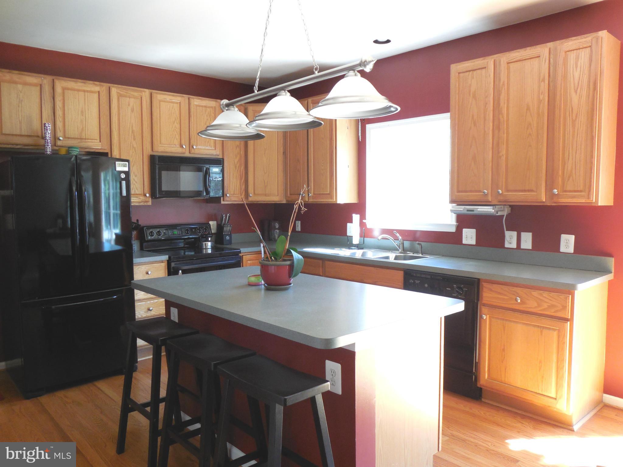 16 Cavalry Ridge Road Fredericksburg, VA 22405 - Photo 9 of 29 Kitchen
