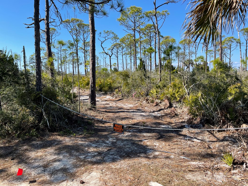 1927 Indian Harbor Road Eastpoint, FL 32328 - Photo 11 of 29