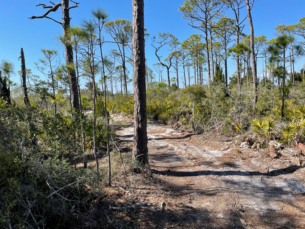 1927 Indian Harbor Road Eastpoint, FL 32328 - Photo 12 of 29