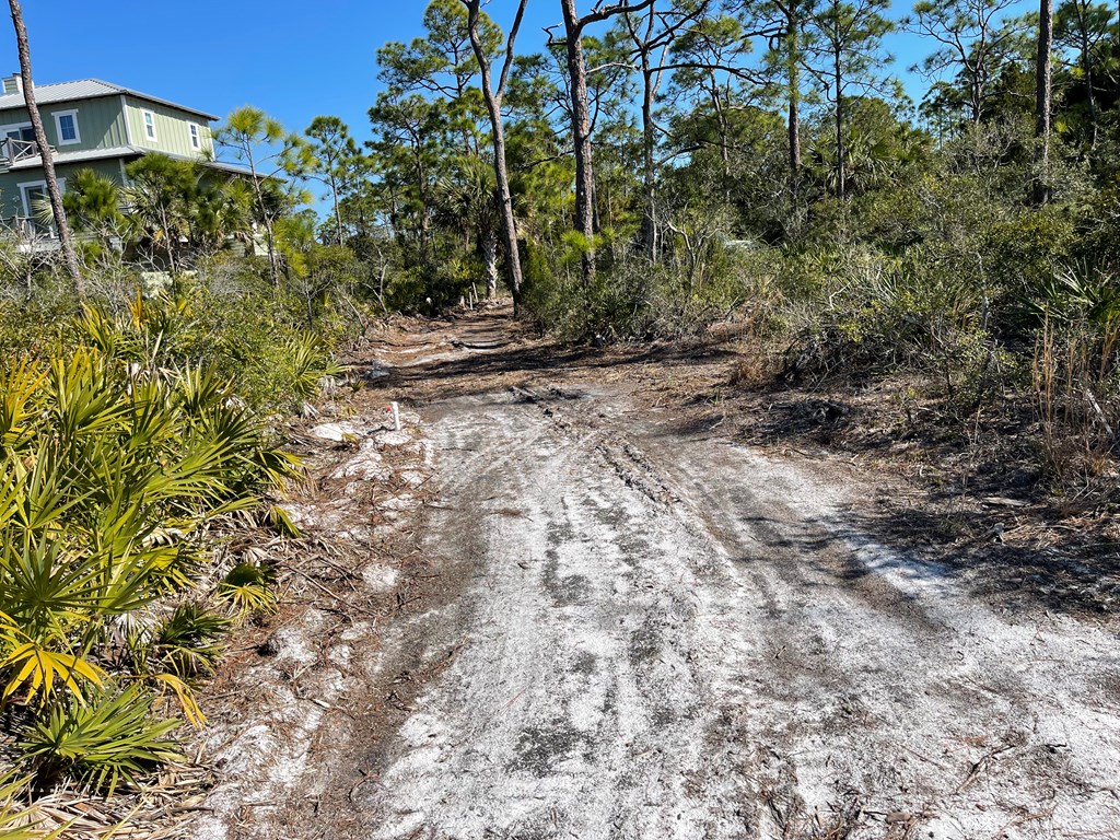 1927 Indian Harbor Road Eastpoint, FL 32328 - Photo 14 of 29