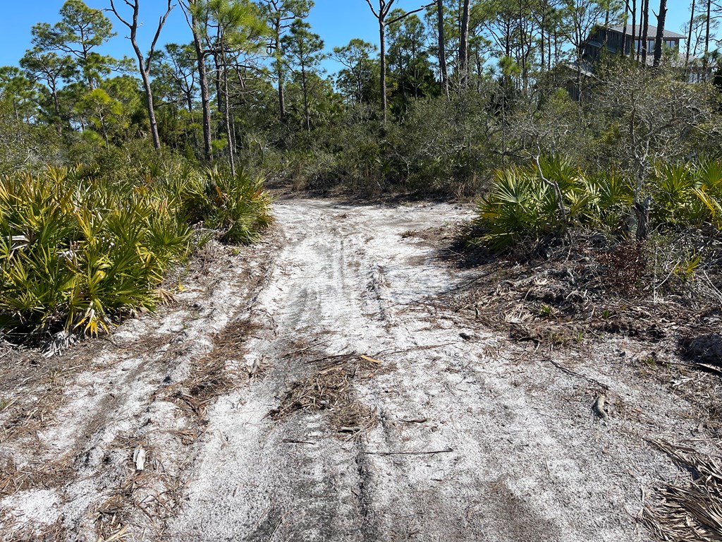 1927 Indian Harbor Road Eastpoint, FL 32328 - Photo 16 of 29