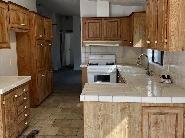 42124 South Fork Drive Three Rivers, CA 93271 - Photo 5 of 15 Kitchen