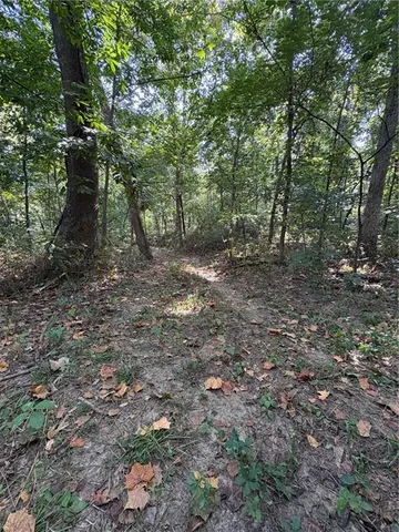 $50,000 | 0 Northwest 576th Road, Lowry City, MO 64763