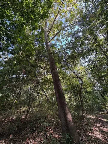 $50,000 | 0 Northwest 576th Road, Lowry City, MO 64763