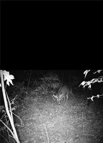 $50,000 | 0 Northwest 576th Road, Lowry City, MO 64763