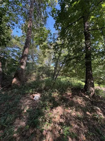 $50,000 | 0 Northwest 576th Road, Lowry City, MO 64763