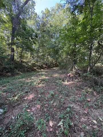 $50,000 | 0 Northwest 576th Road, Lowry City, MO 64763