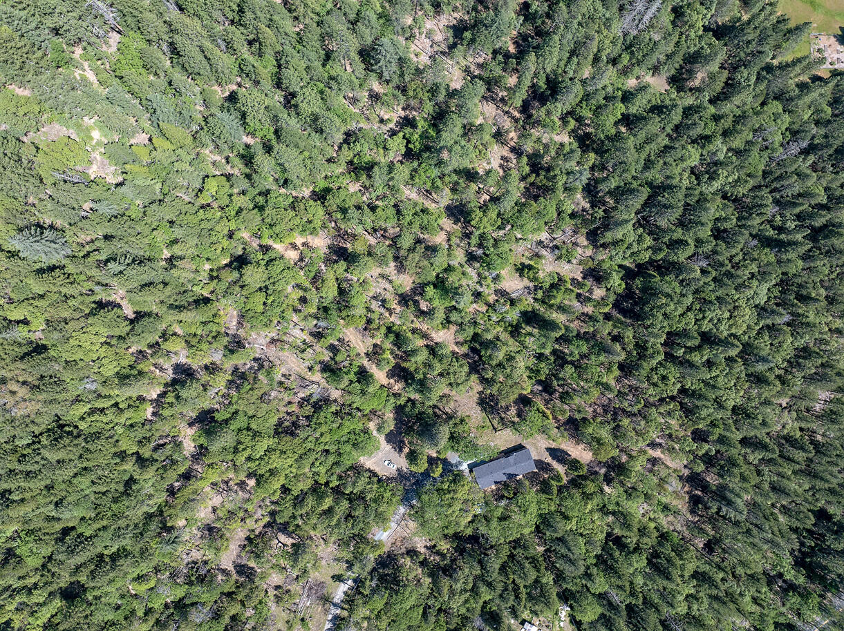 646 Winona Road Grants Pass, OR 97526 - Photo 3 of 40 DJI_20240513145701_0156_D copy