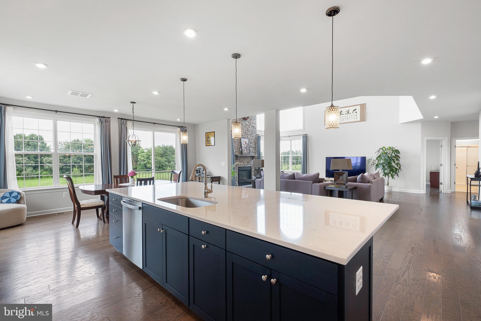 251 Dillon Circle Middletown, DE 19709 - Photo 13 of 56 Kitchen Island