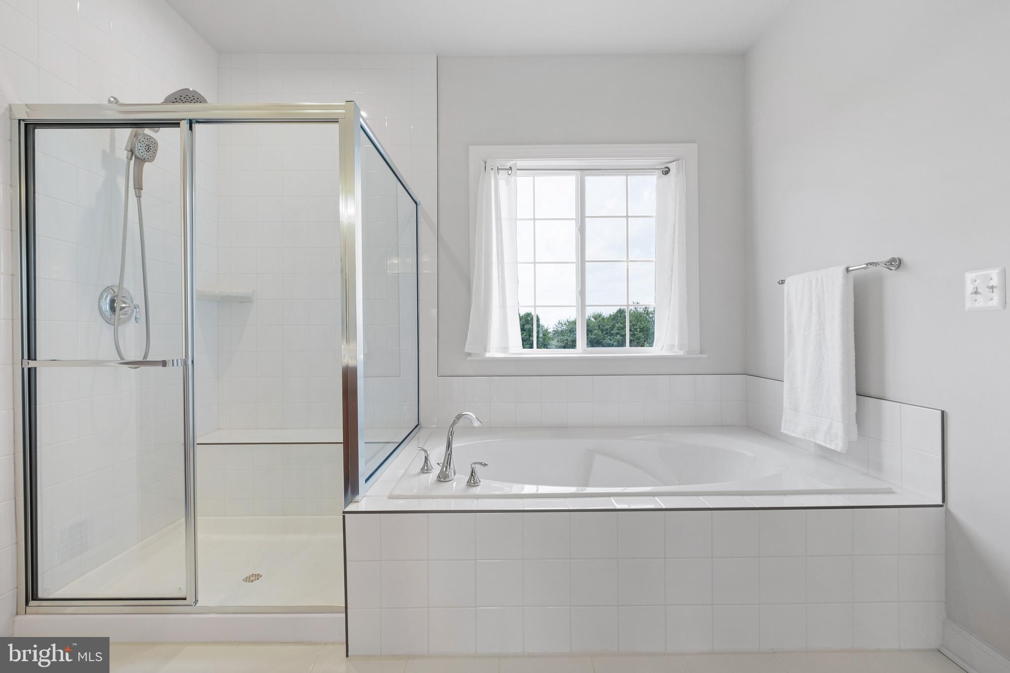 251 Dillon Circle Middletown, DE 19709 - Photo 26 of 56 Primary Bathroom