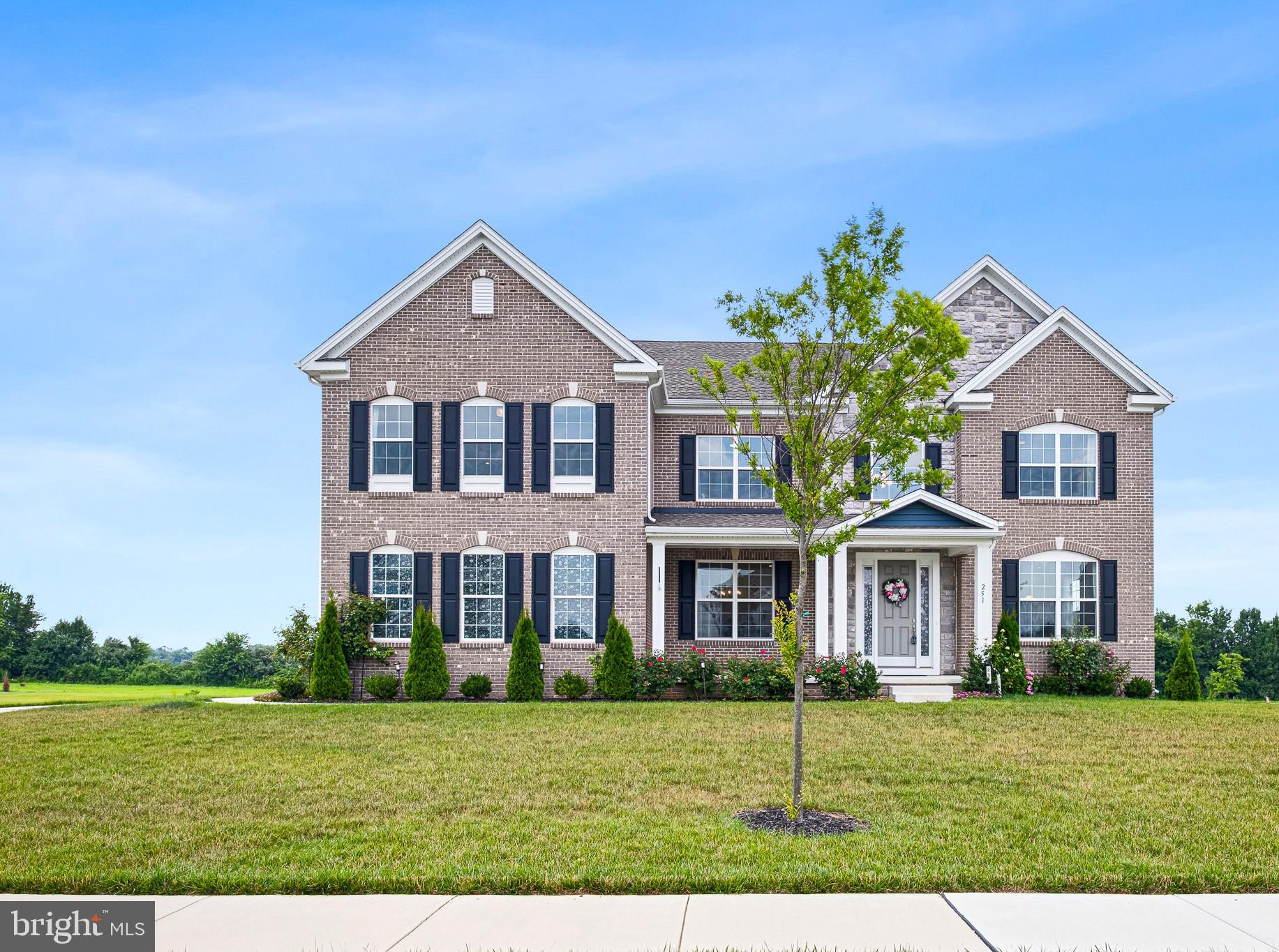 251 Dillon Circle Middletown, DE 19709 - Photo 3 of 56