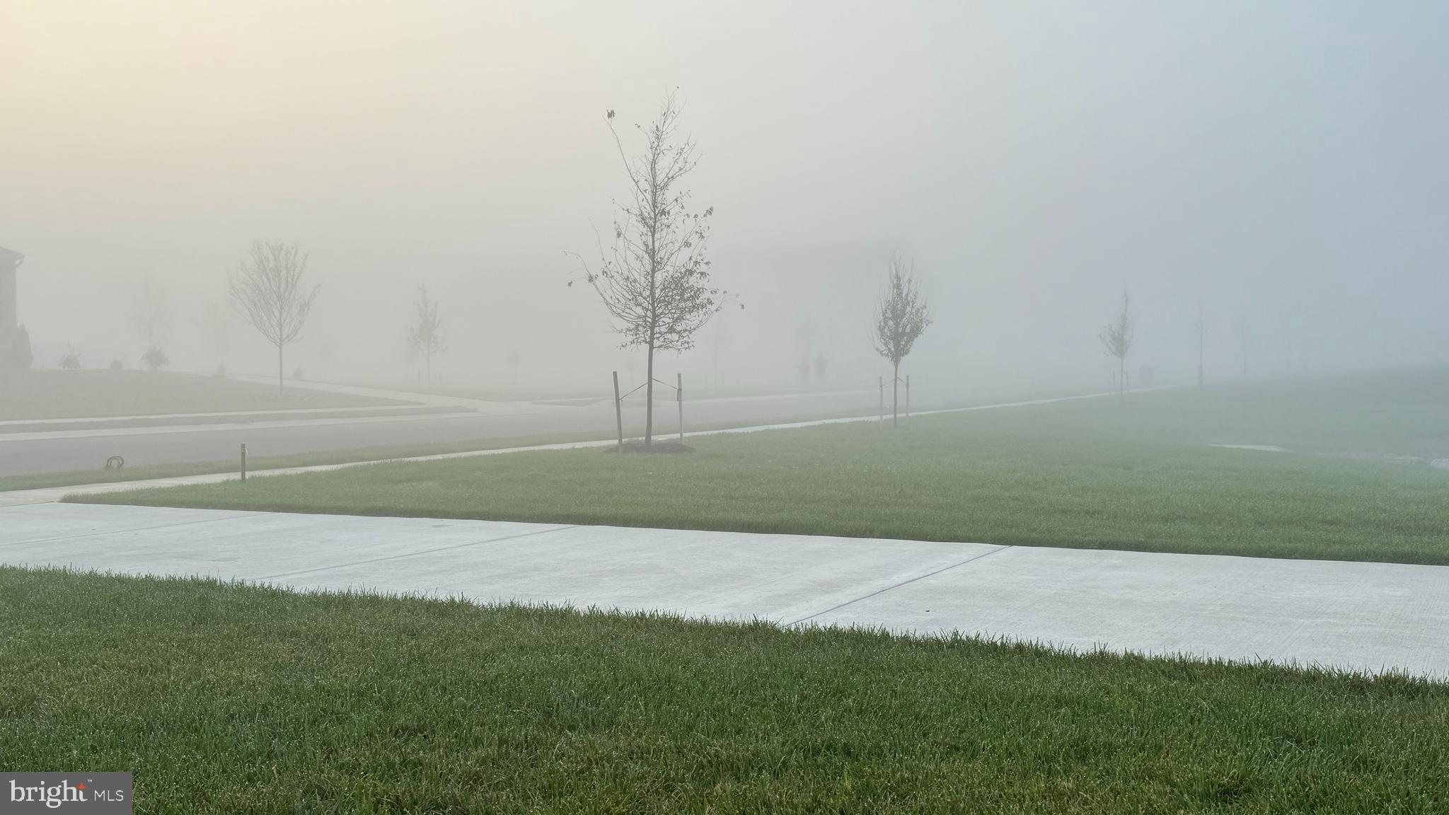 251 Dillon Circle Middletown, DE 19709 - Photo 50 of 56 Early Morning Fog