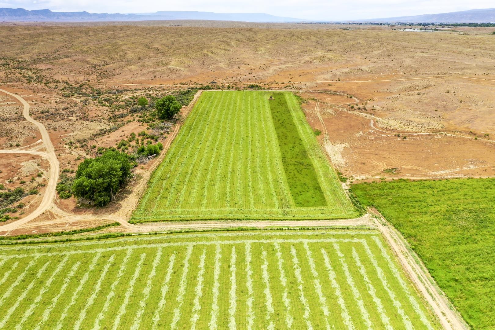 990 T Road Mack, CO 81525 - Photo 34 of 42 a view of an ocean