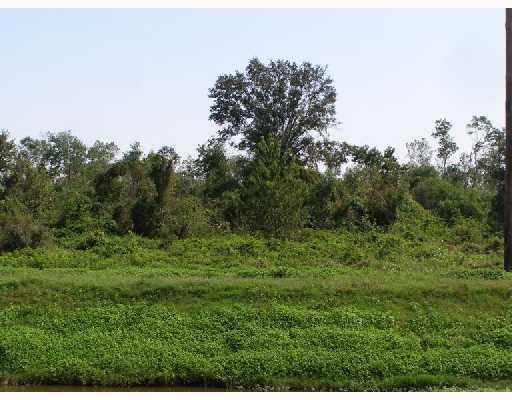 0 South Bayou Road Belle Chasse, LA 70037 - Photo 3 of 6 Gallery Image 3