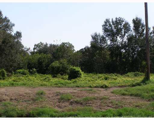 0 South Bayou Road Belle Chasse, LA 70037 - Photo 5 of 6 Gallery Image 5