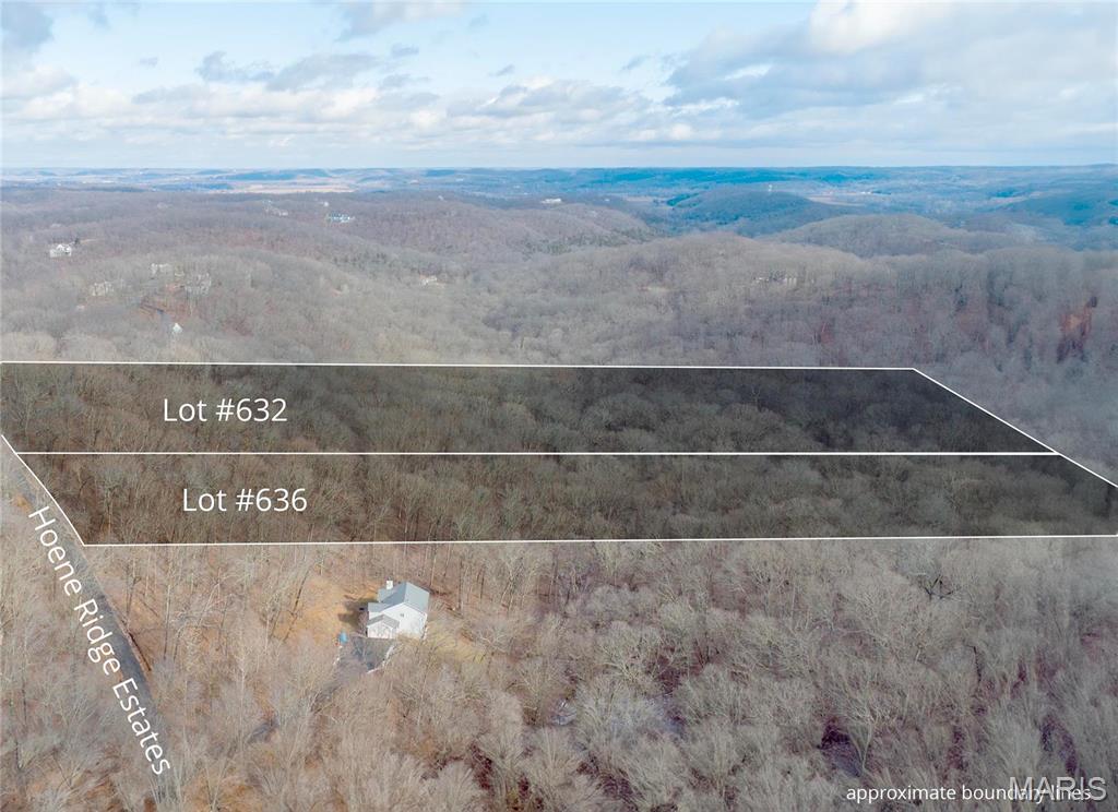 632 Hoene Ridge Estates Drive Eureka, MO 63025 - Photo 4 of 4