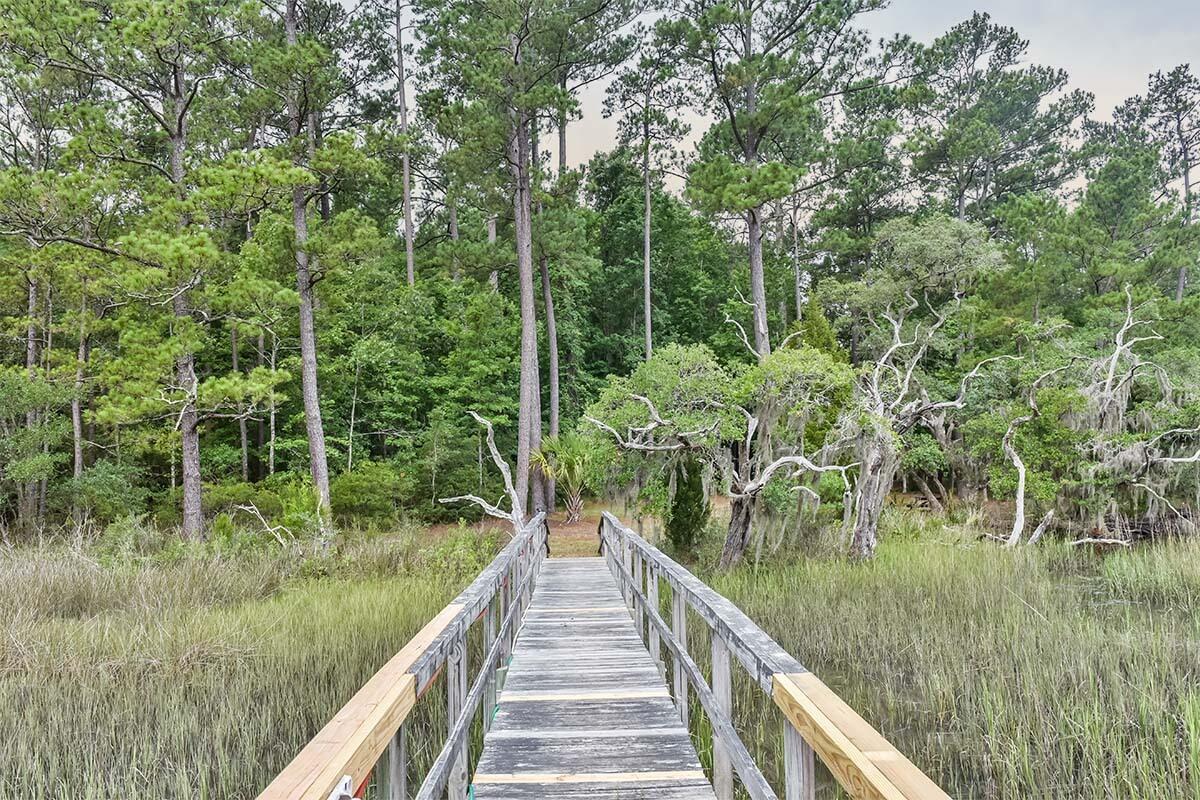 1940 Longcreek Road Wadmalaw Island, SC 29487 - Photo 11 of 59 DSC_7094-1
