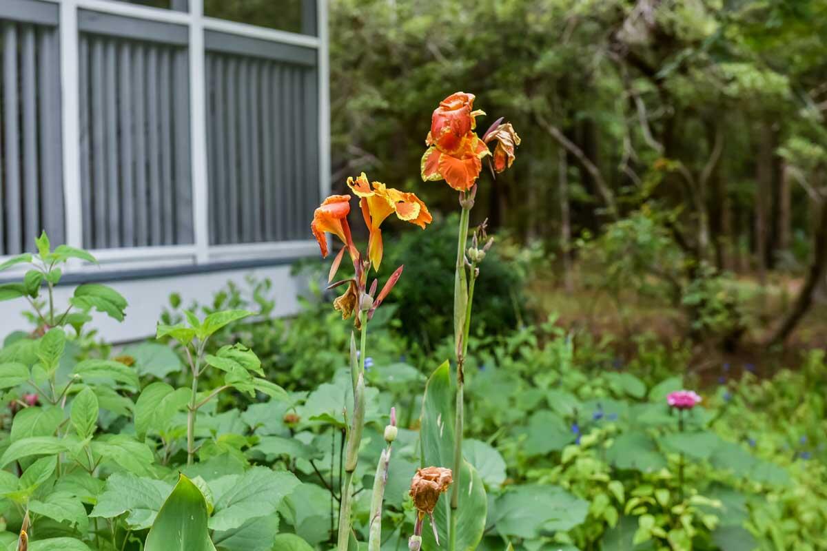 1940 Longcreek Road Wadmalaw Island, SC 29487 - Photo 16 of 59 DSC_7113