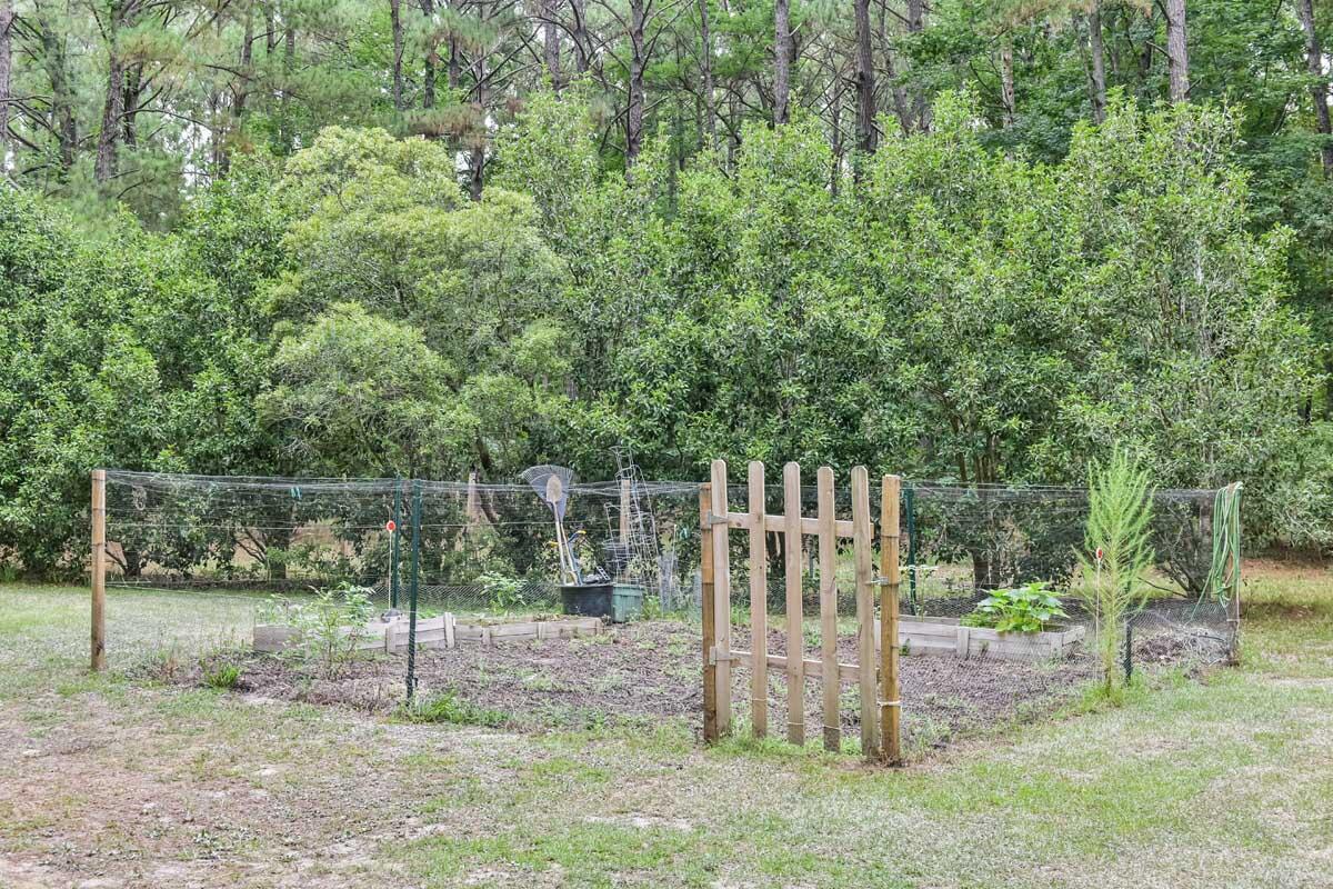 1940 Longcreek Road Wadmalaw Island, SC 29487 - Photo 19 of 59 DSC_7156