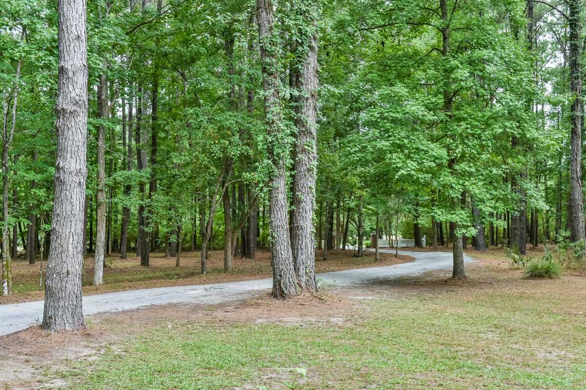 1940 Longcreek Road Wadmalaw Island, SC 29487 - Photo 21 of 59 DSC_7173