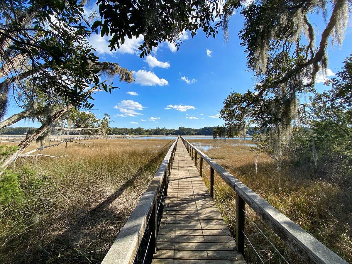 1940 Longcreek Road Wadmalaw Island, SC 29487 - Photo 59 of 59 IMG_1770-Web