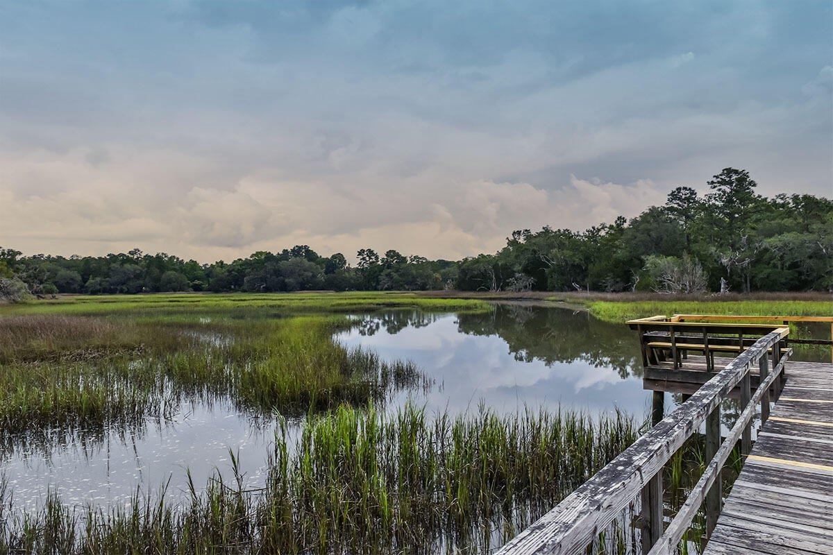 1940 Longcreek Road Wadmalaw Island, SC 29487 - Photo 9 of 59 DSC_7087-1