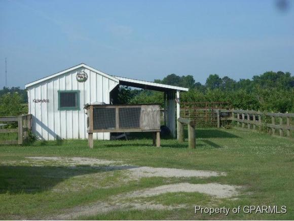 3026 Hollowell Road Stokes, NC 27884 - Photo 29 of 30 Additional Photo