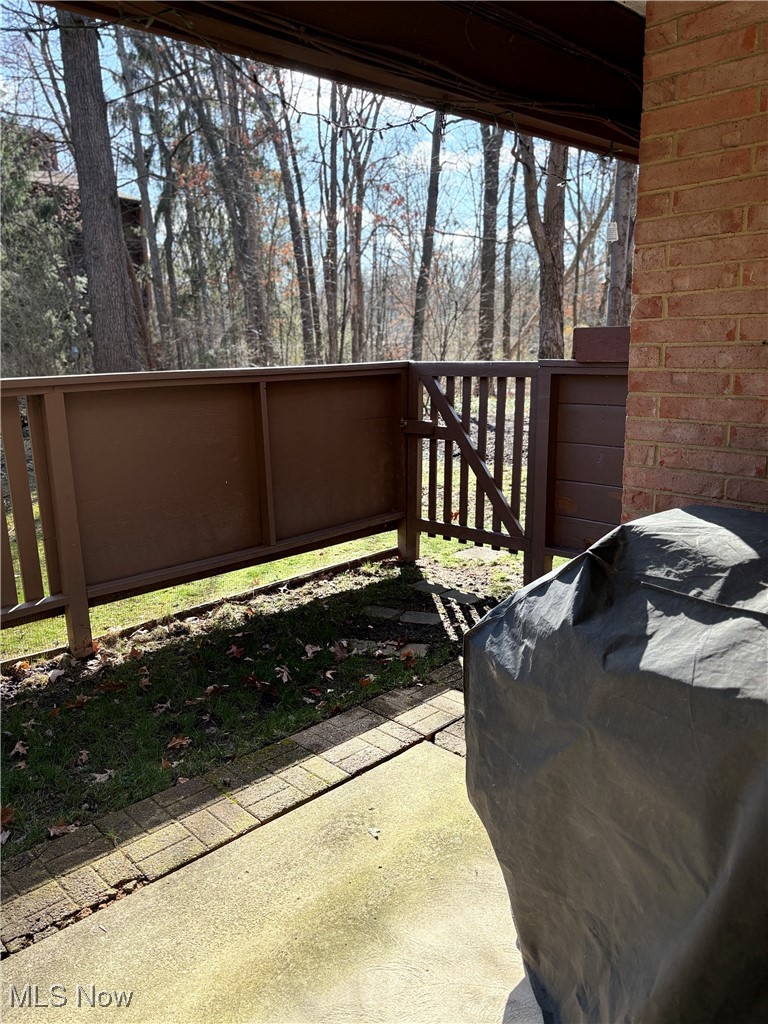 935 Canyon View Road, Unit 104 Northfield, OH 44067 - Photo 35 of 46 View of patio / terrace