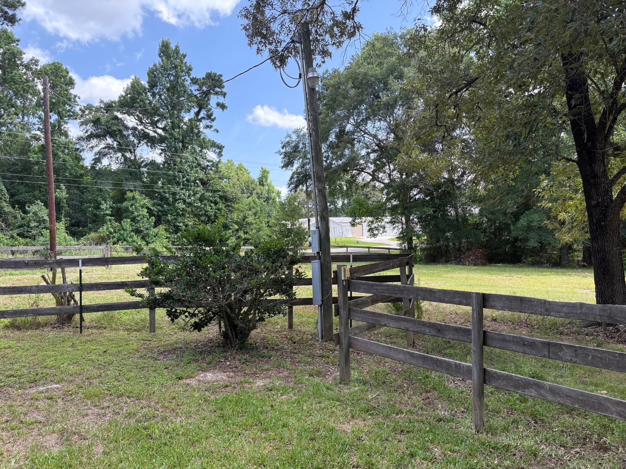 5801 Sapp Road Conroe, TX 77304 - Photo 26 of 35 Side Yard