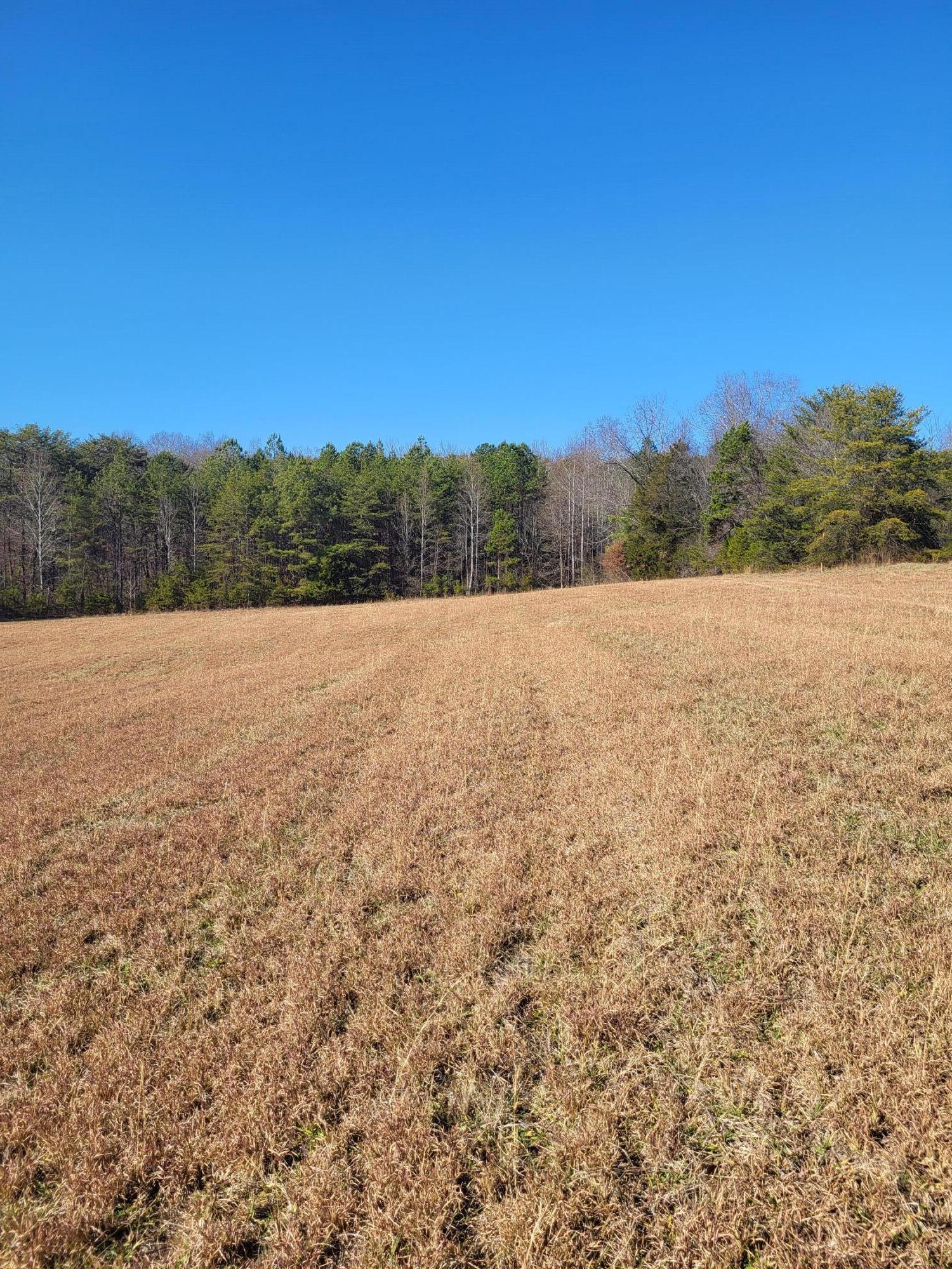 16633 Andy Thomas Road Sale Creek, TN 37373 - Photo 11 of 18 20260101_130821