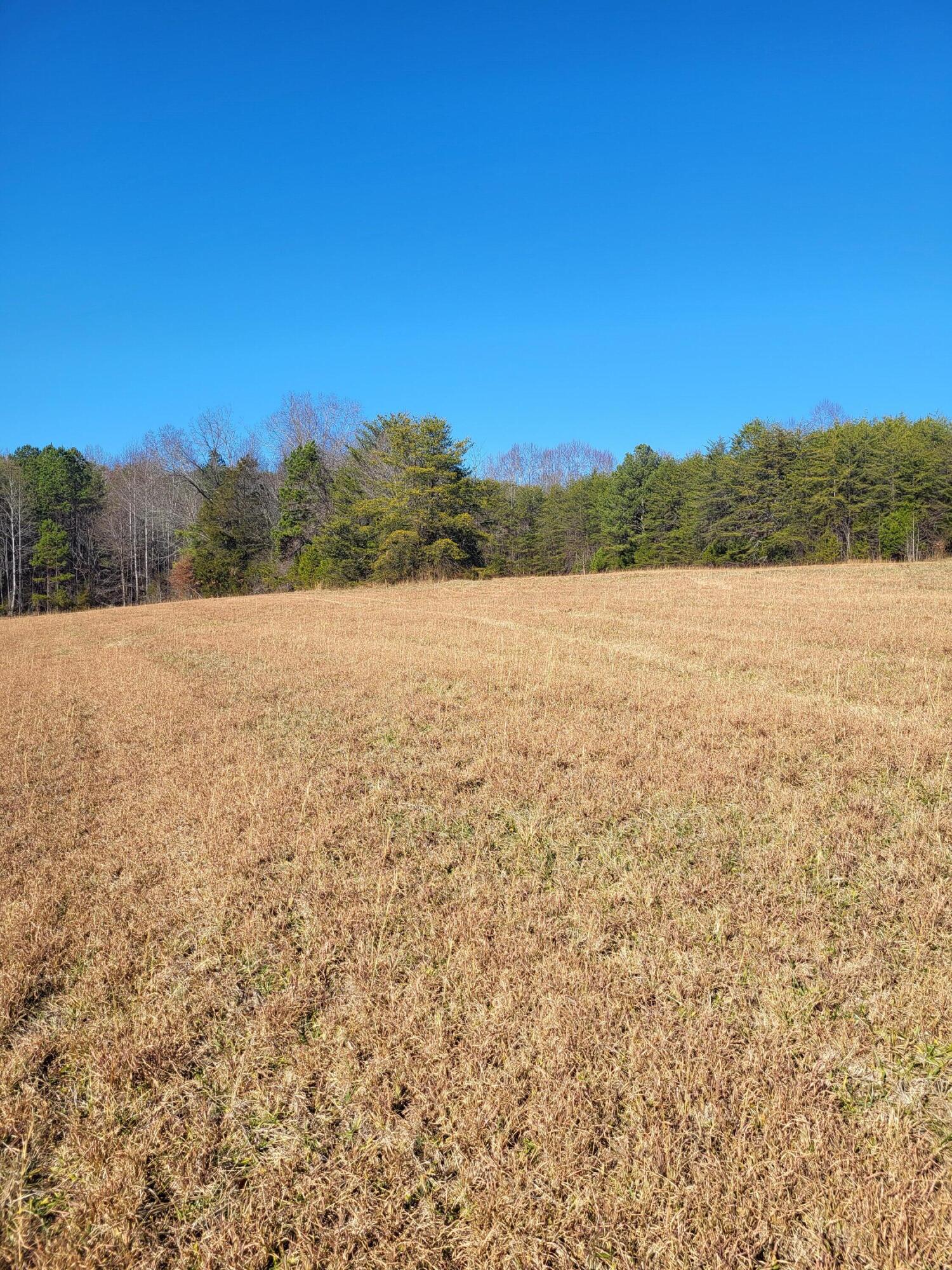 16633 Andy Thomas Road Sale Creek, TN 37373 - Photo 12 of 18 20260101_130823