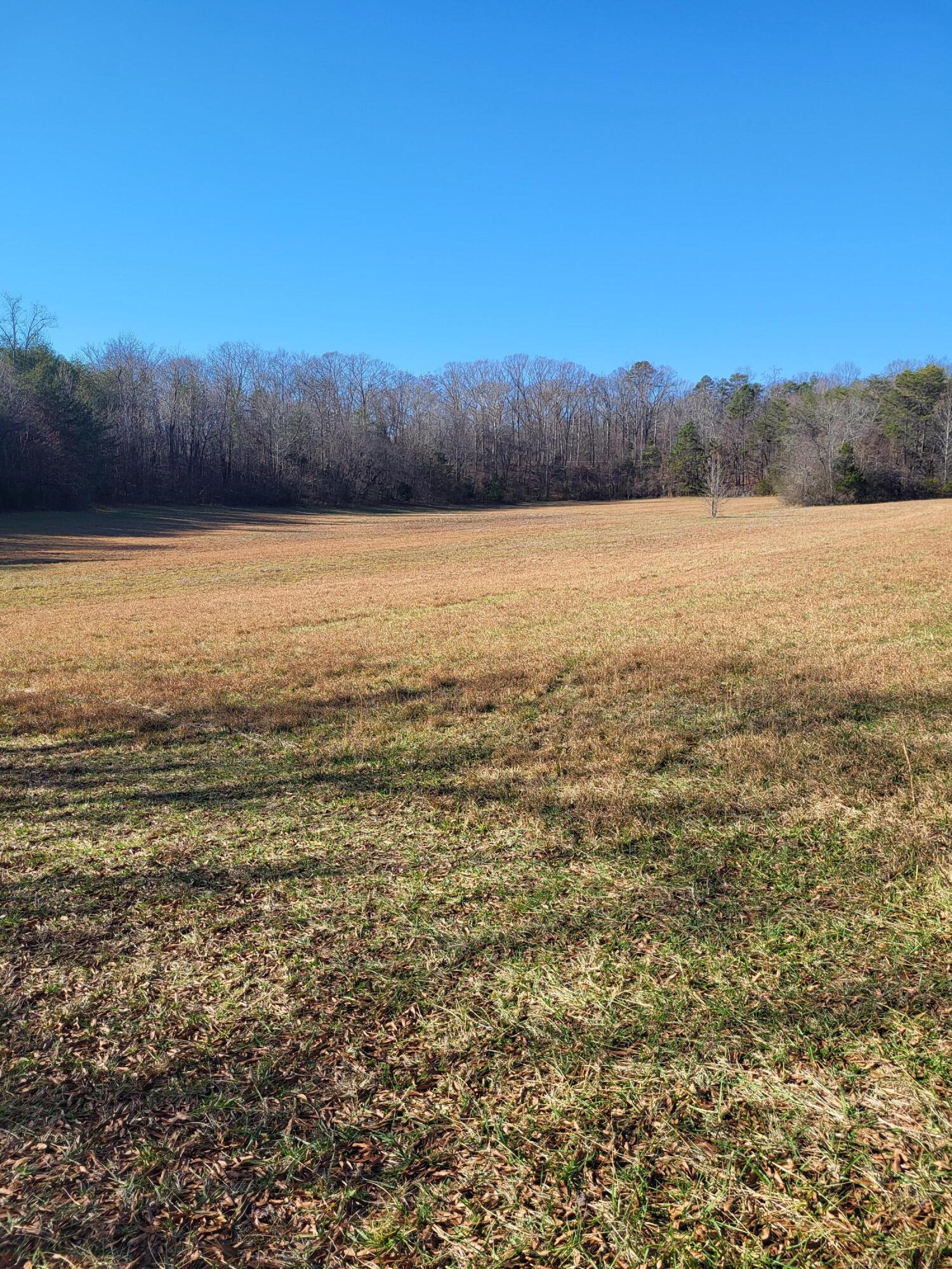 16633 Andy Thomas Road Sale Creek, TN 37373 - Photo 13 of 18 20260101_131751