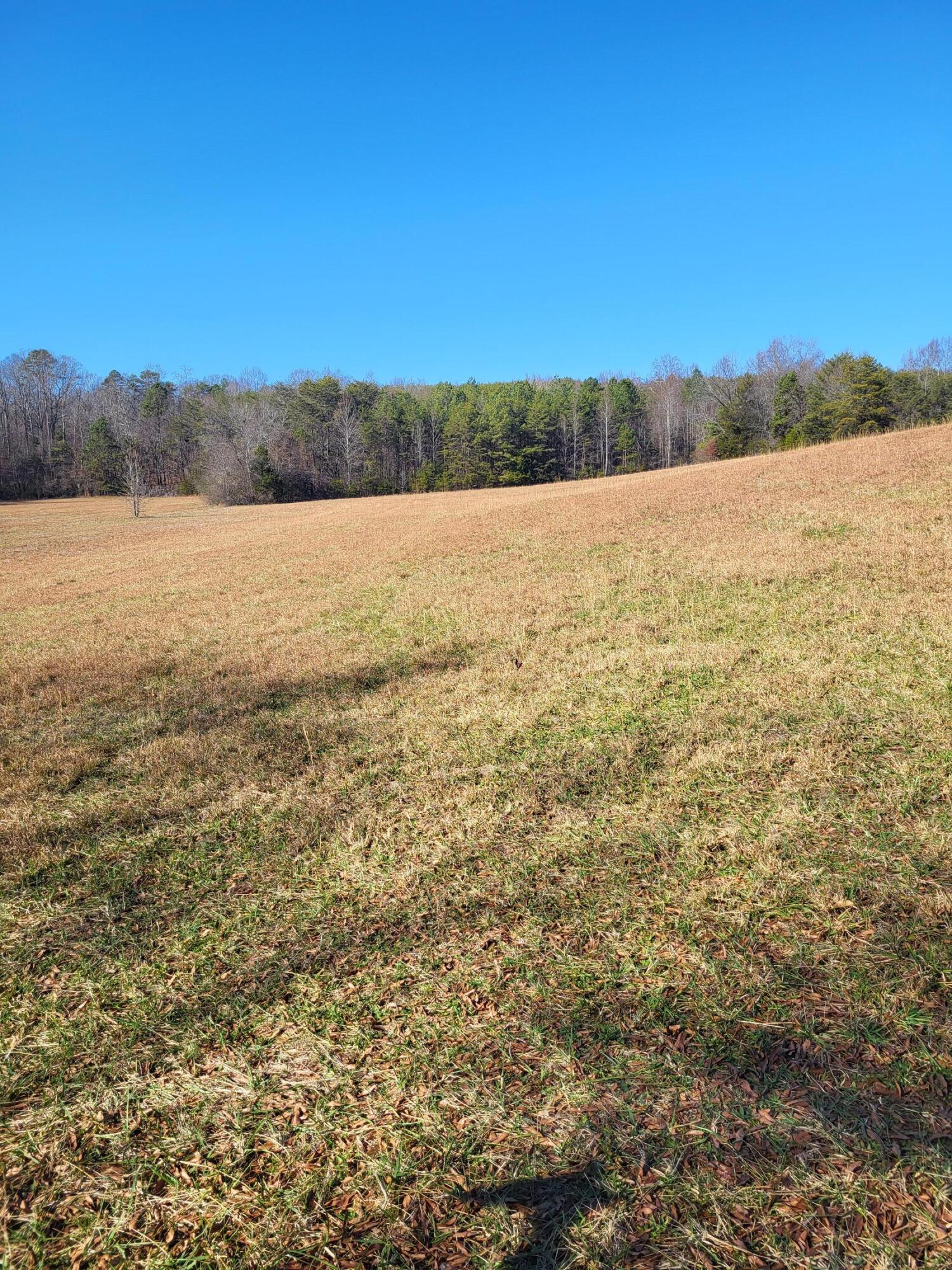 16633 Andy Thomas Road Sale Creek, TN 37373 - Photo 14 of 18 20260101_131754