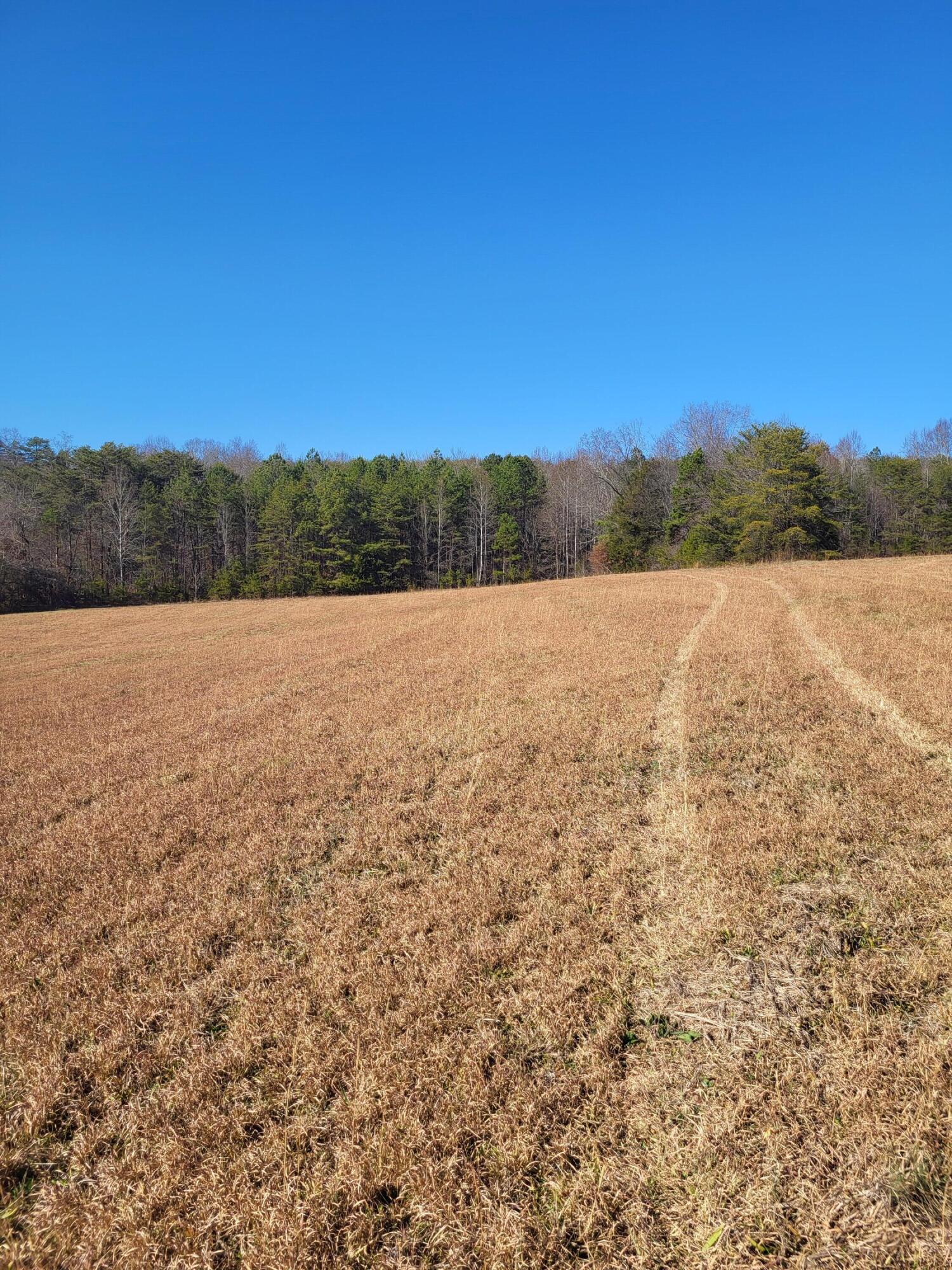 16633 Andy Thomas Road Sale Creek, TN 37373 - Photo 15 of 18 20260101_130908