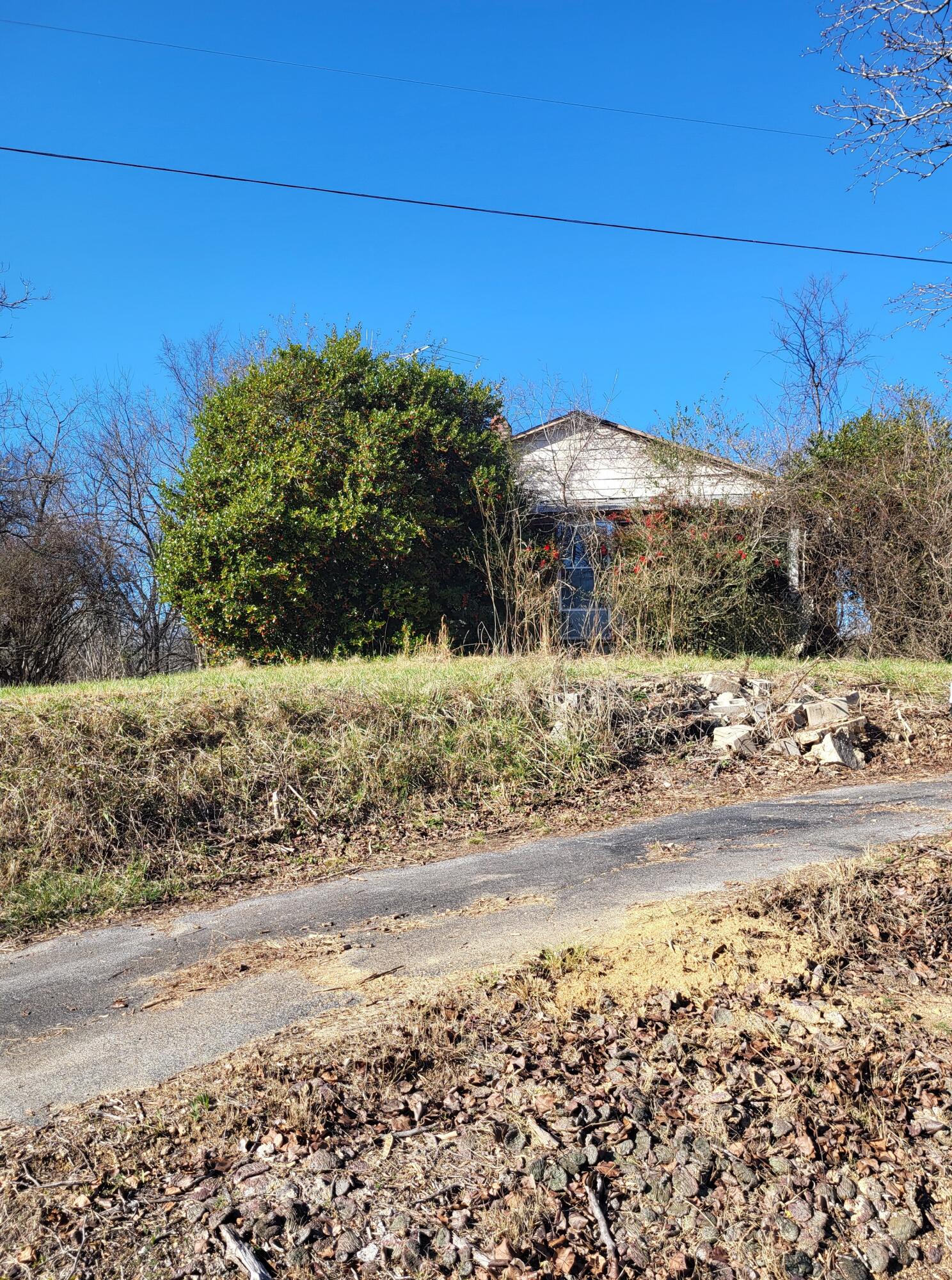 16633 Andy Thomas Road Sale Creek, TN 37373 - Photo 16 of 18 20260101_133227