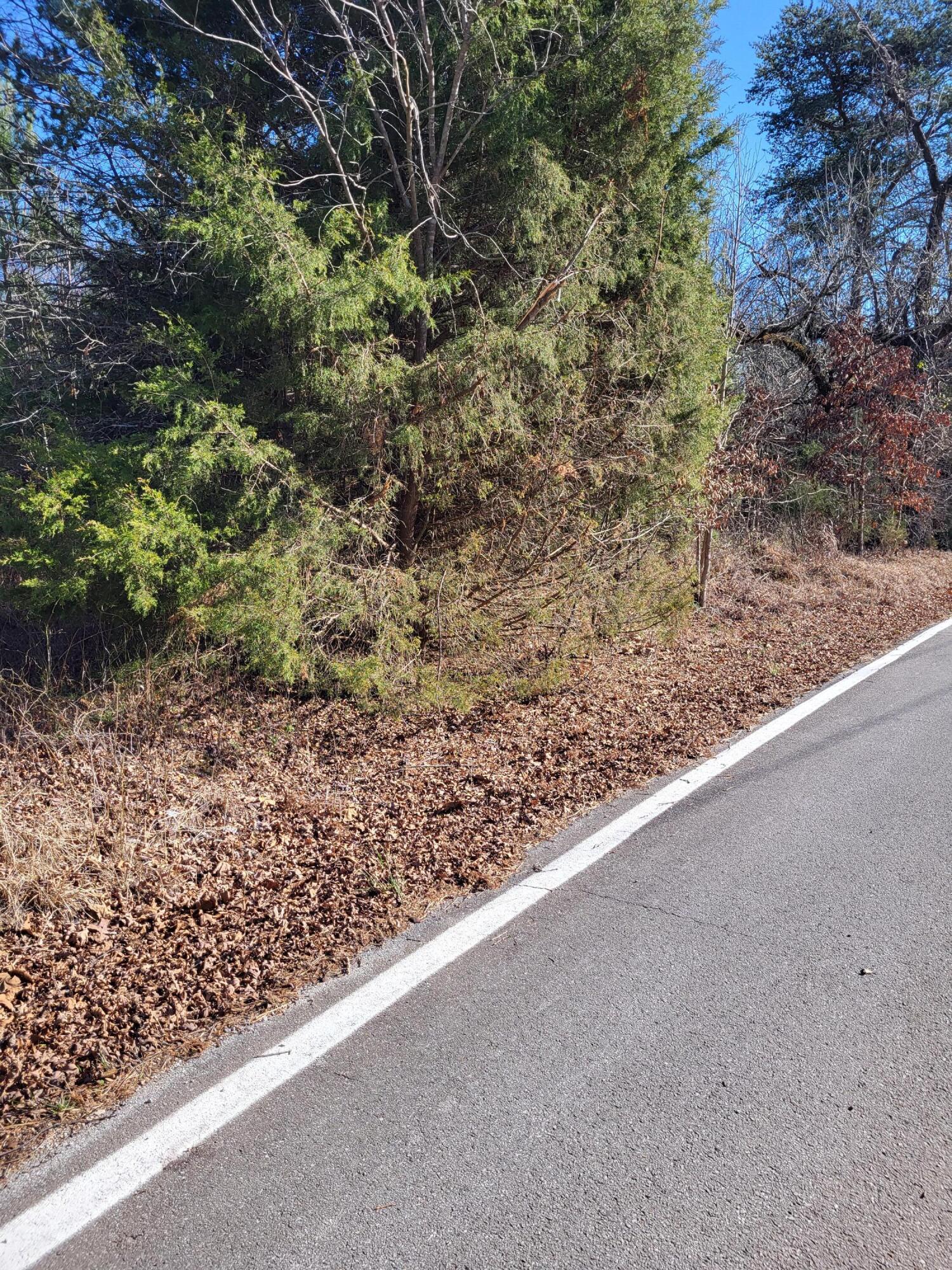 16633 Andy Thomas Road Sale Creek, TN 37373 - Photo 17 of 18 20260101_133956