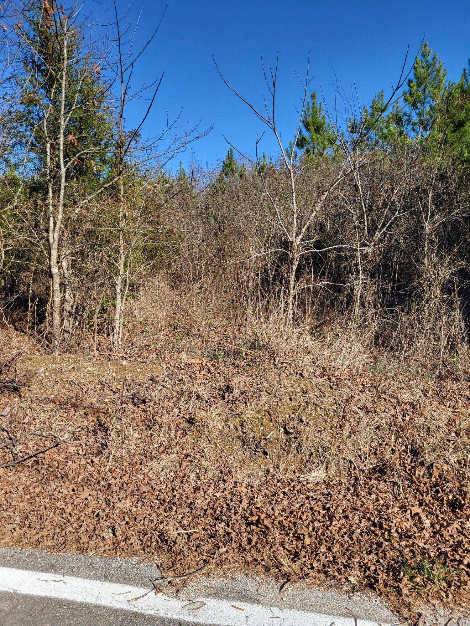 16633 Andy Thomas Road Sale Creek, TN 37373 - Photo 18 of 18 20260101_133949