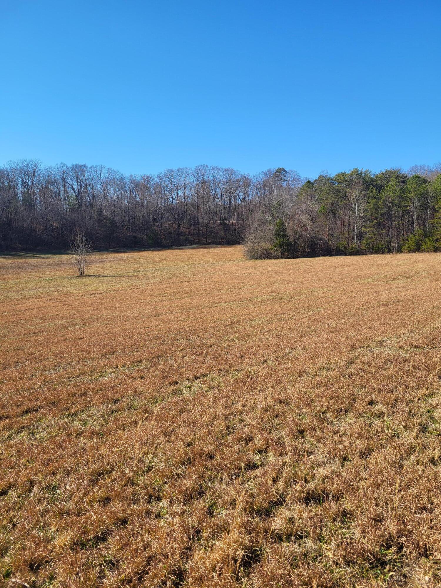 16633 Andy Thomas Road Sale Creek, TN 37373 - Photo 2 of 18 20260101_130826