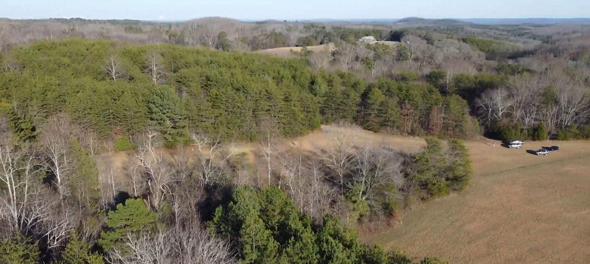 16633 Andy Thomas Road Sale Creek, TN 37373 - Photo 4 of 18 Screenshot_20260102_182912_Drive~2