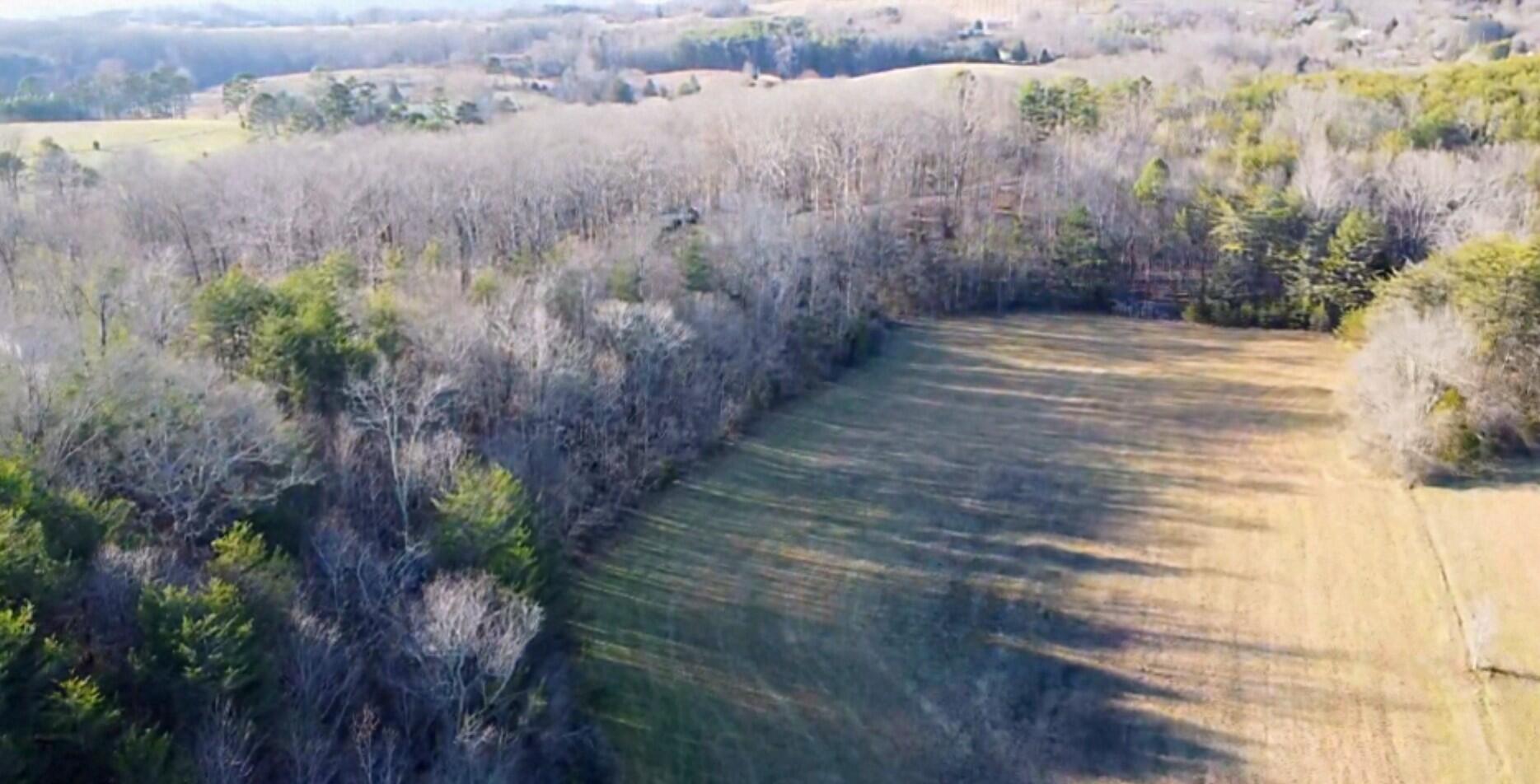 16633 Andy Thomas Road Sale Creek, TN 37373 - Photo 5 of 18 Screenshot_20260102_182838_Drive~2