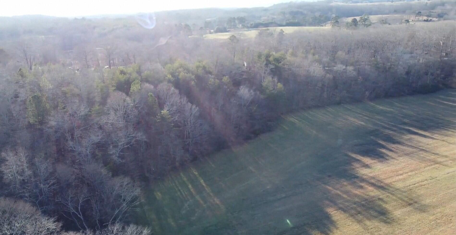 16633 Andy Thomas Road Sale Creek, TN 37373 - Photo 6 of 18 Screenshot_20260102_182801_Drive~2