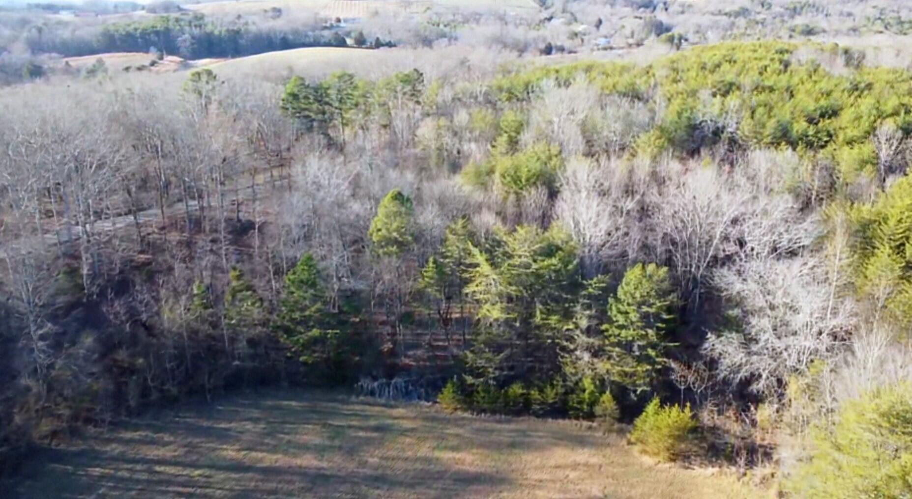 16633 Andy Thomas Road Sale Creek, TN 37373 - Photo 8 of 18 Screenshot_20260102_182851_Drive~2