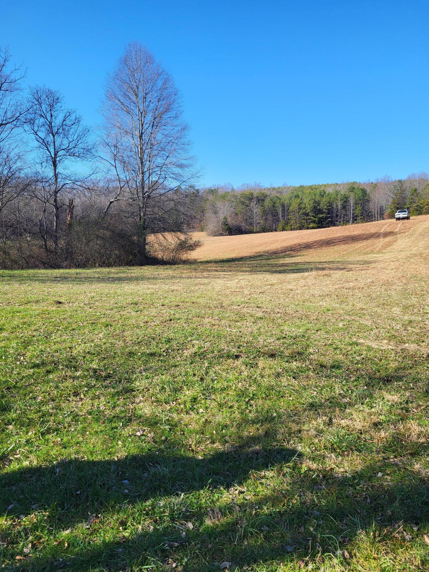 16633 Andy Thomas Road Sale Creek, TN 37373 - Photo 9 of 18 20260101_132308