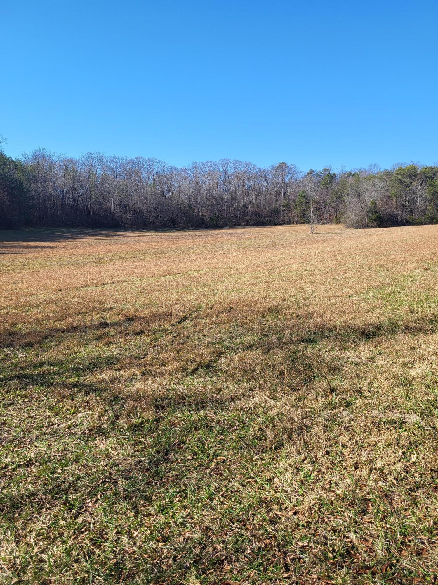 16633 Andy Thomas Road Sale Creek, TN 37373 - Photo 10 of 18 20260101_131806