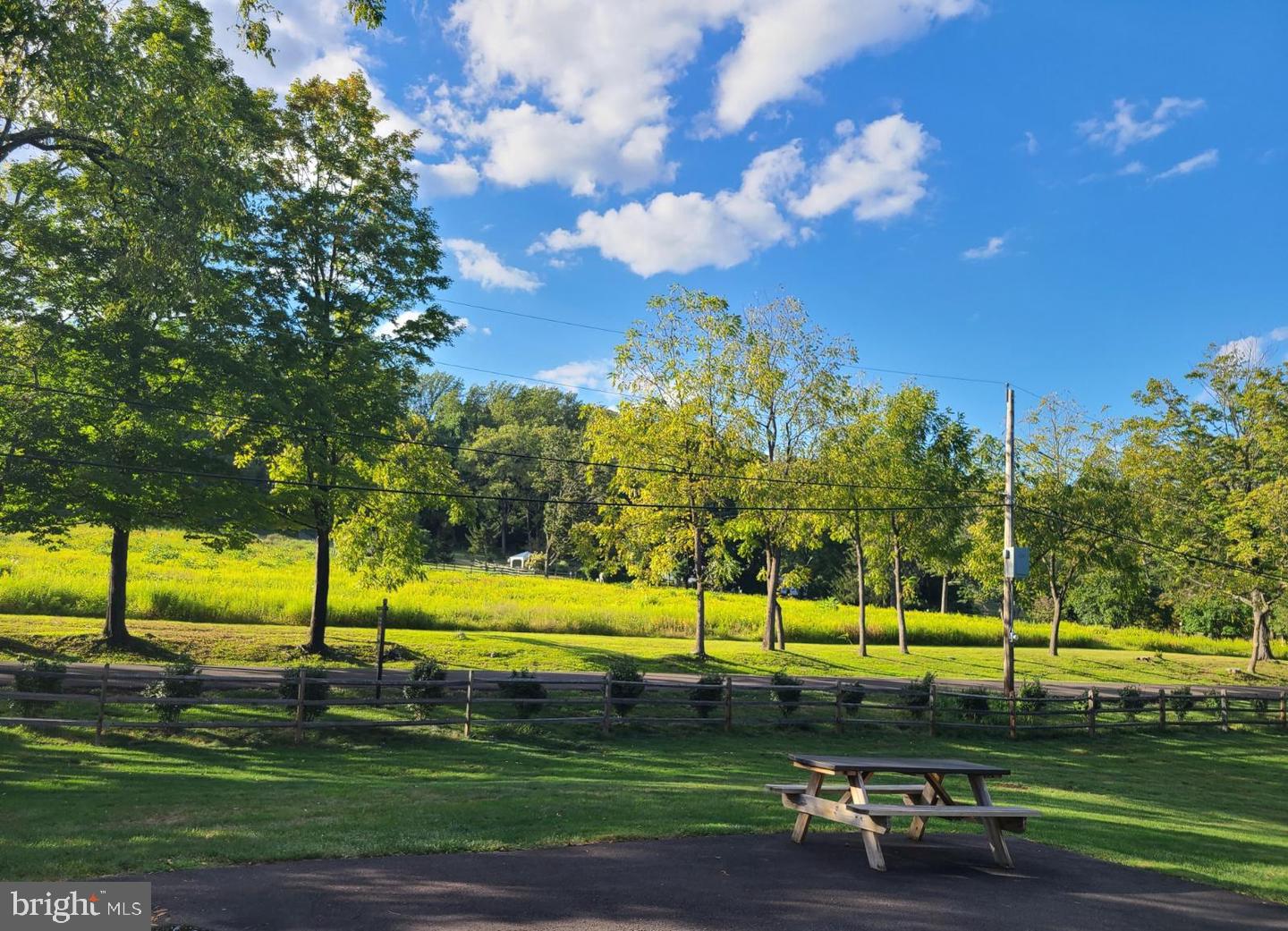 3889 Robin Road Furlong, PA 18925 - Photo 49 of 67 Serene landscape with lush greenery